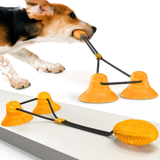Dog Rubber Suction Cup Toy Set